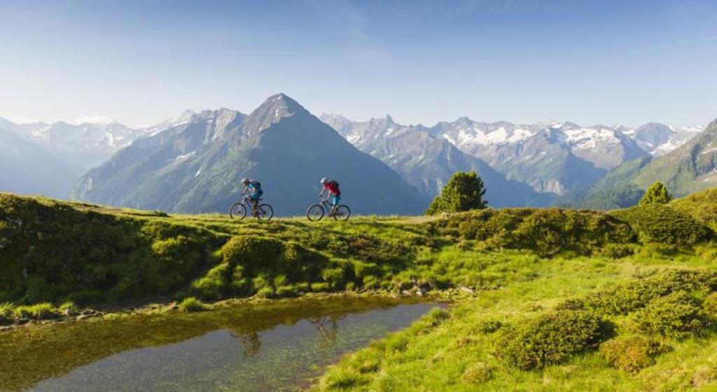 Apart Alpin Hippach Kültér fotó
